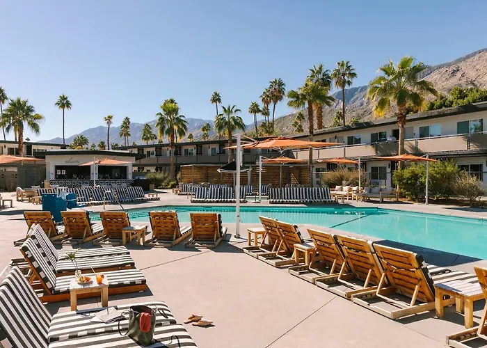 Pet Friendly hotel: The V Powered By Sonder